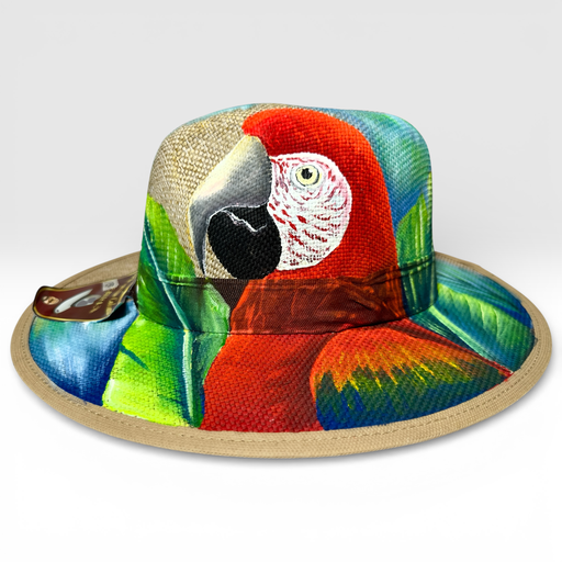 Sombrero guacamaya